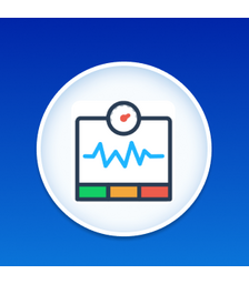 WebVitals Website Checkup Service