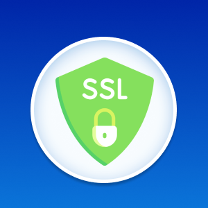 Secure SSL Installation Service