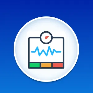 WebVitals Website Checkup Service