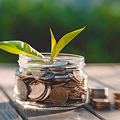 Fixed Deposit Management