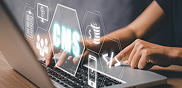 CMS & Frameworks