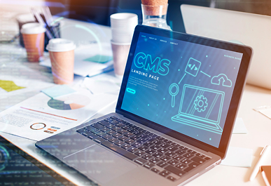 CMS & Plugin Development