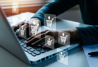 eCommerce Portals