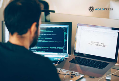On-Demand WordPress Developers