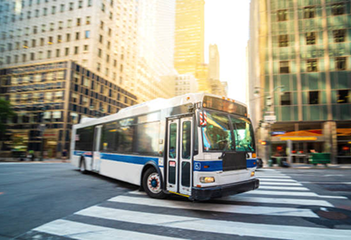 Real-Time Intracity Bus Data
