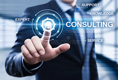 Customized Consultancy Services